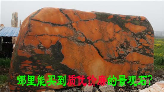 哪里能買到質優價廉的景觀石
