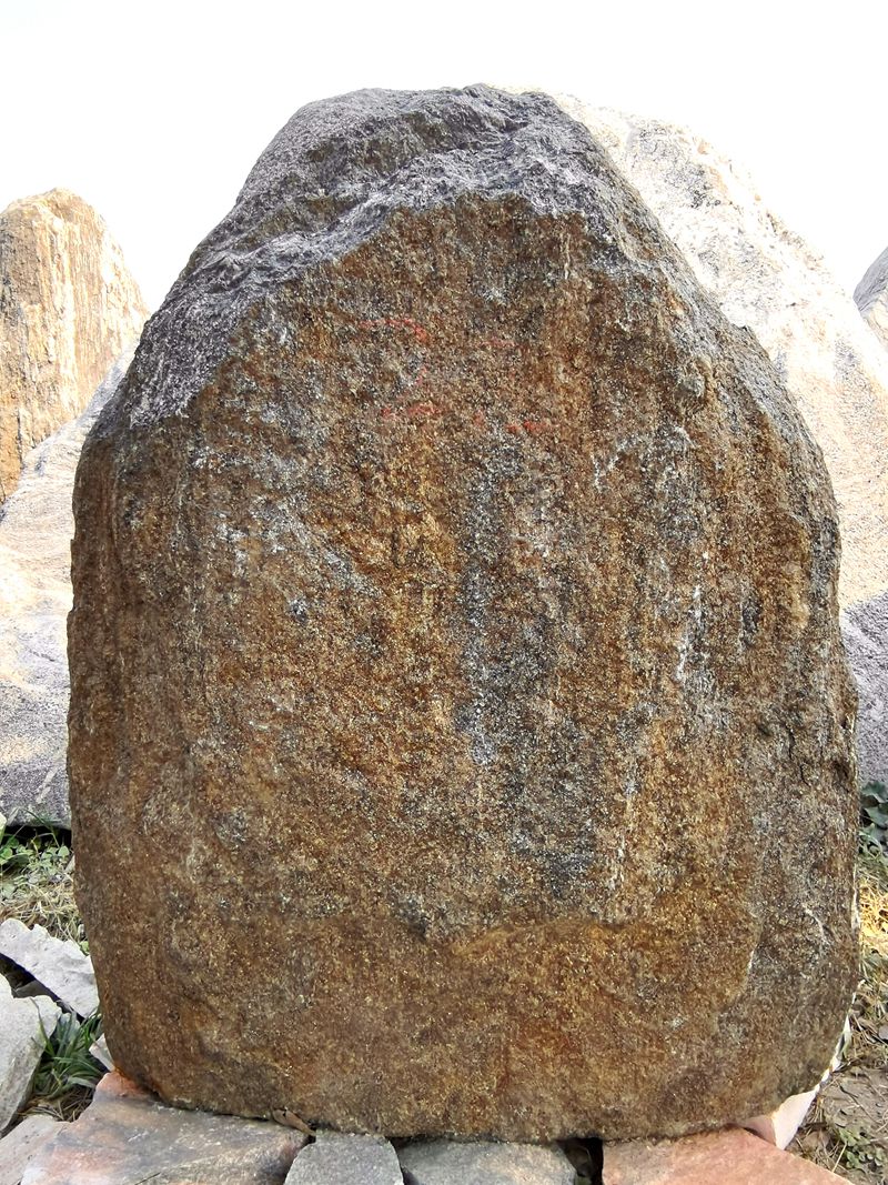 廠家實(shí)拍圖
