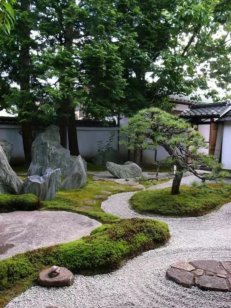 庭院景觀美景