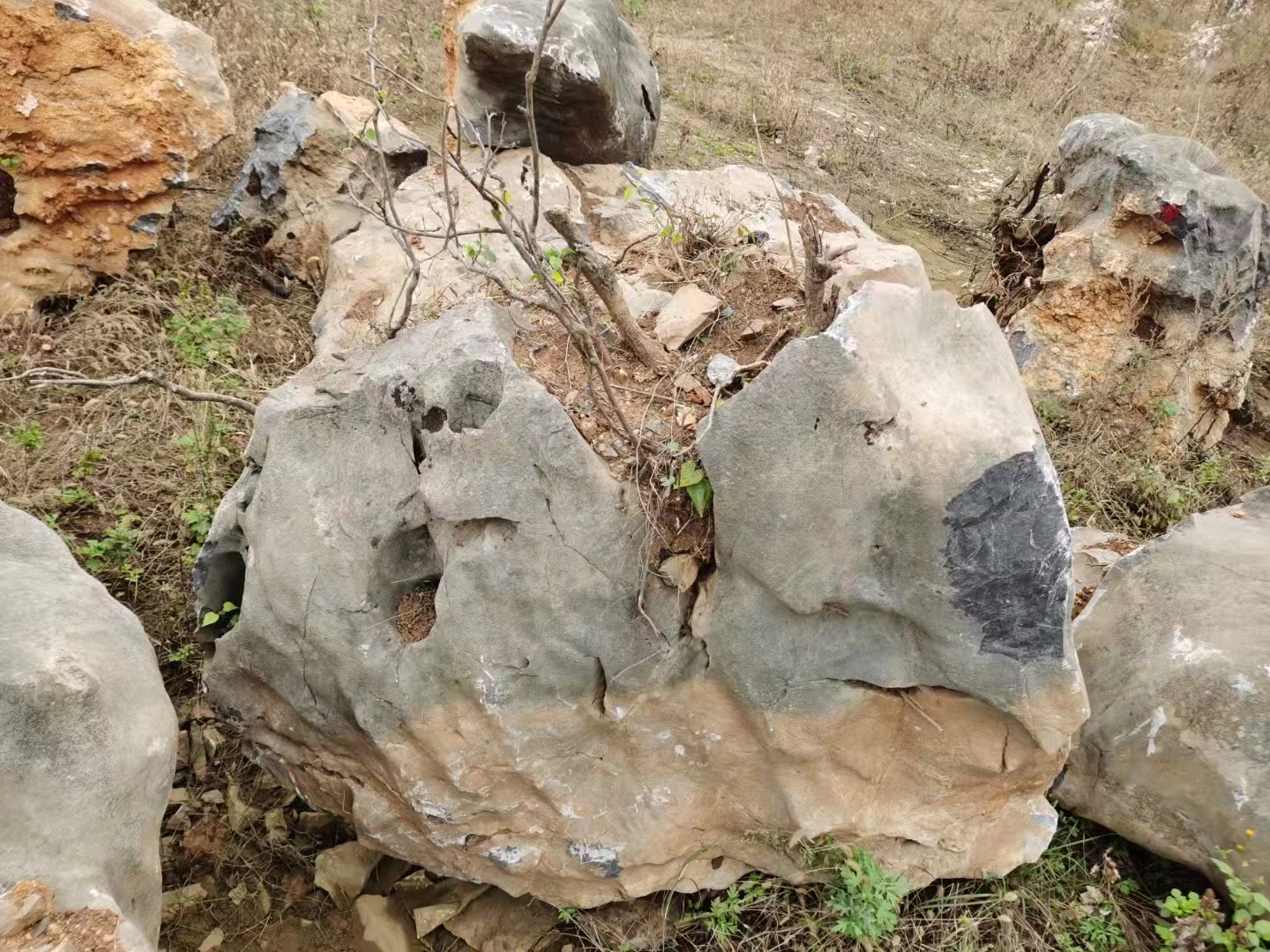 精品草坪石——福祿源石業