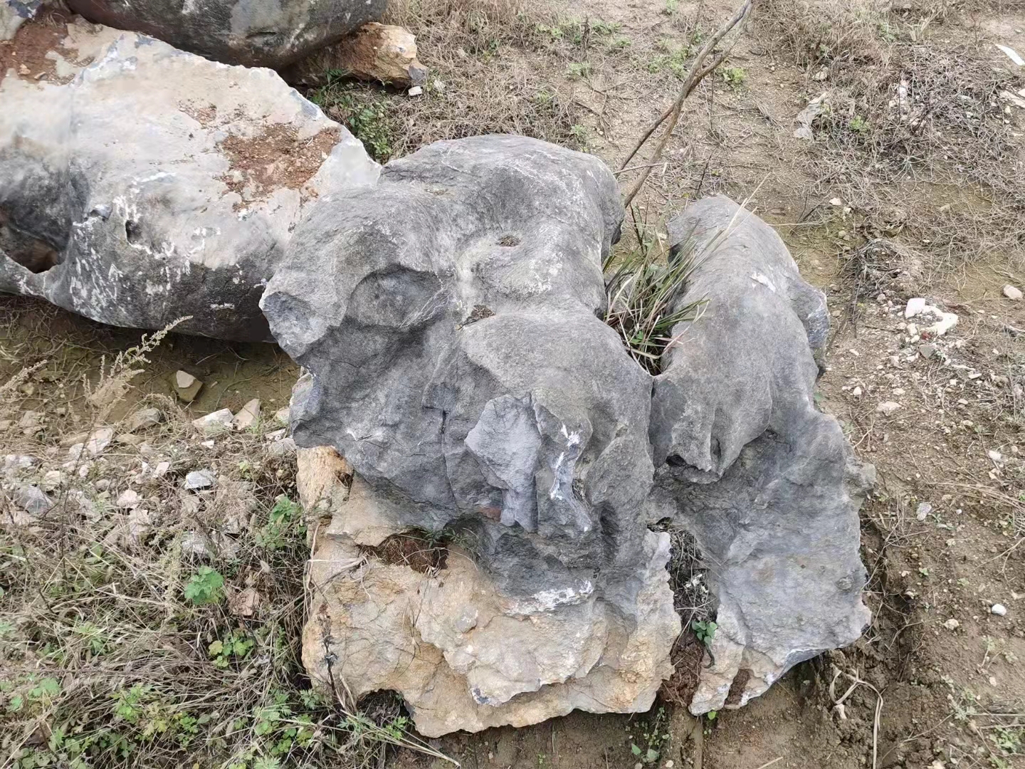 精品草坪石廠家直銷