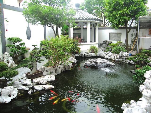 駁岸景石實景拍攝